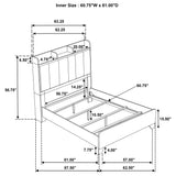 Henderson Medium Oak 57-inch Queen Bookcase Panel Bed by Coaster at Eve Furniture