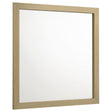 Hendricks Light Oak Dresser Mirror by Coaster at Eve Furniture
