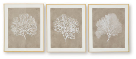 Hendridge Taupe/White Wall Art (Set of 3) by Ashley at Eve Furniture