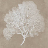 Hendridge Taupe/White Wall Art (Set of 3) by ASHLEY FURNITURE at Eve Furniture