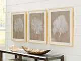 Hendridge Taupe/White Wall Art (Set of 3) by ASHLEY FURNITURE at Eve Furniture