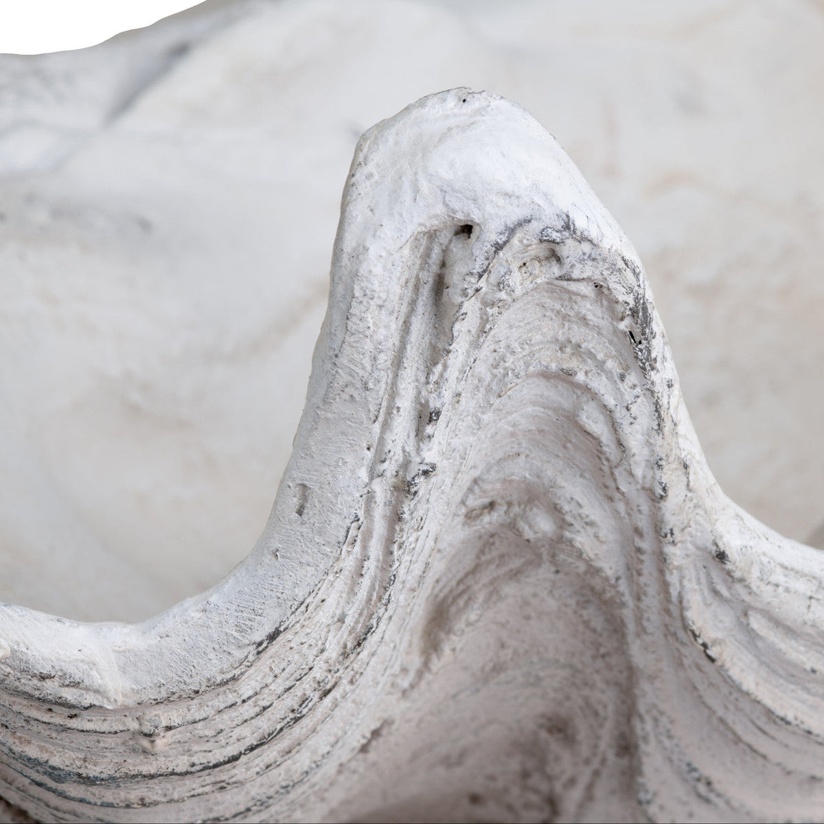 Henley White Resin Shell Sculpture by Crestview at Eve Furniture