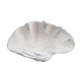 Henley White Resin Shell Sculpture by Crestview at Eve Furniture