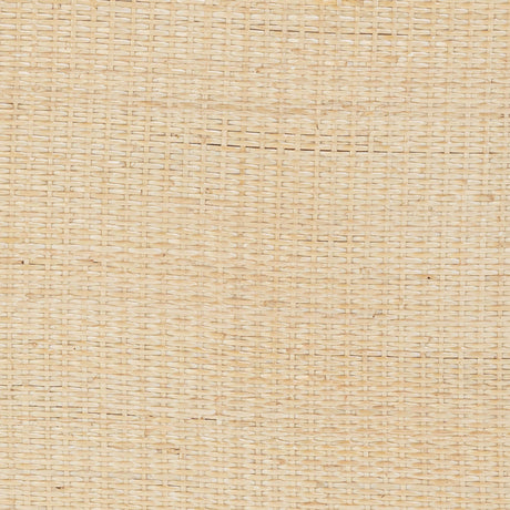 Henri Natural Rattan Side Table by TOV Furniture at Eve Furniture