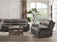 Henricus Dark Gray Sofa & Loveseat by Furniture of America at Eve Furniture