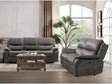 Henricus Dark Gray Sofa & Loveseat by Furniture of America at Eve Furniture
