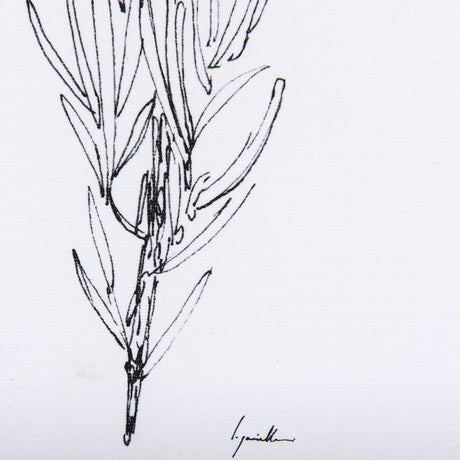Herb Sketch I,II by Mercana Studio a Hand Embellished Textured Framed Art Print by Mercana at Eve Furniture