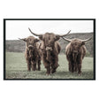 Highland Brown Photography 48x72 by Classic Home at Eve Furniture