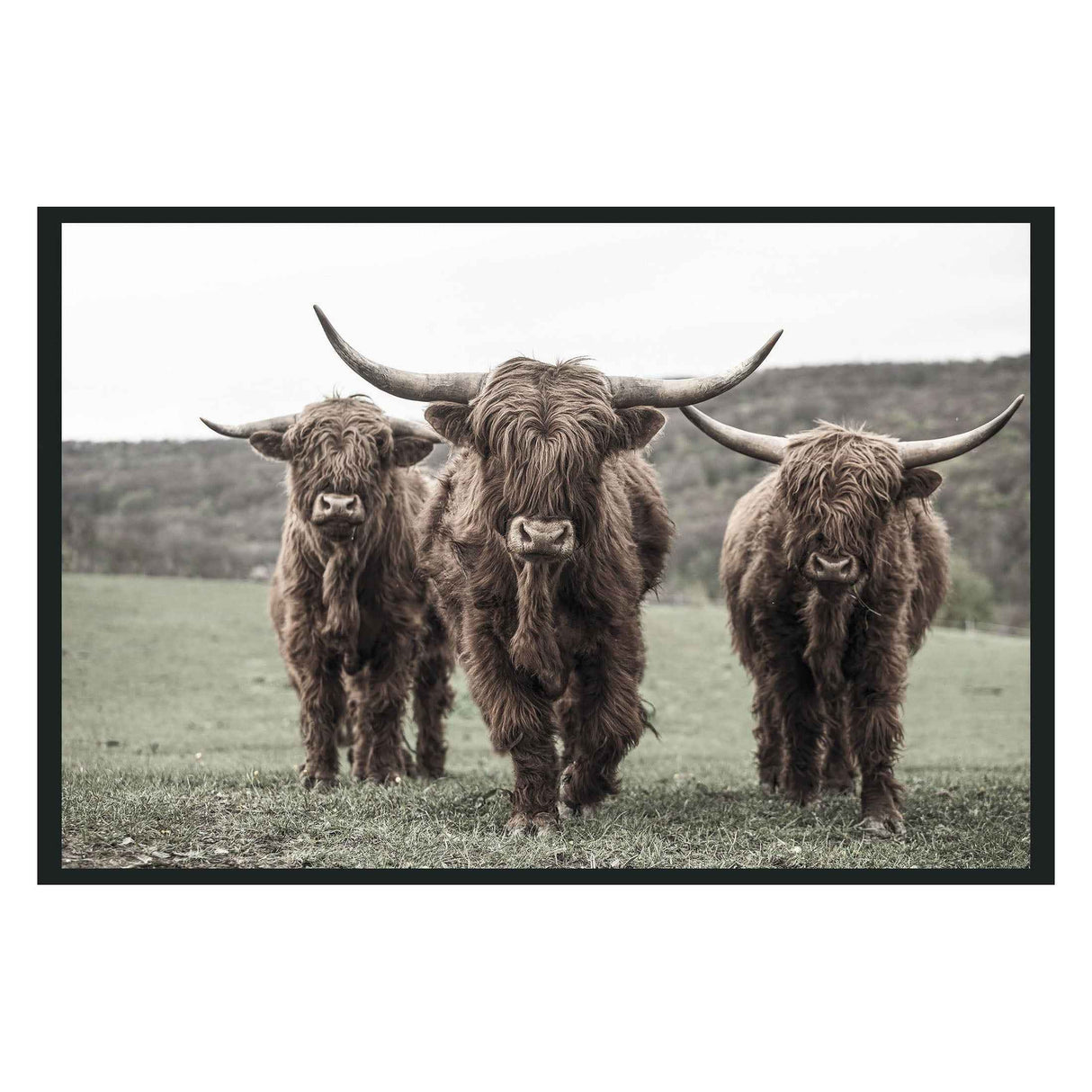 Highland Brown Photography 48x72 by Classic Home at Eve Furniture