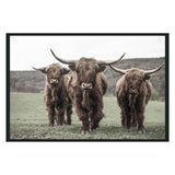 Highland Brown Photography 48x72 by Classic Home at Eve Furniture