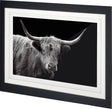 Highland Courage - Framed Art Photograph Matted under Glass by Mercana at Eve Furniture