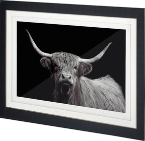 Highland Spirit - Framed Art Photograph Matted under Glass by Mercana at Eve Furniture