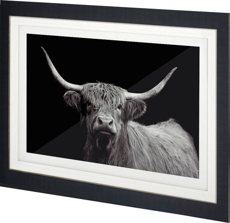 Highland Spirit - Framed Art Photograph Matted under Glass by Mercana at Eve Furniture