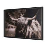 Highland Stare by Chad Mackay a Hand Embellished Textured Framed Photo Art Print by Mercana at Eve Furniture