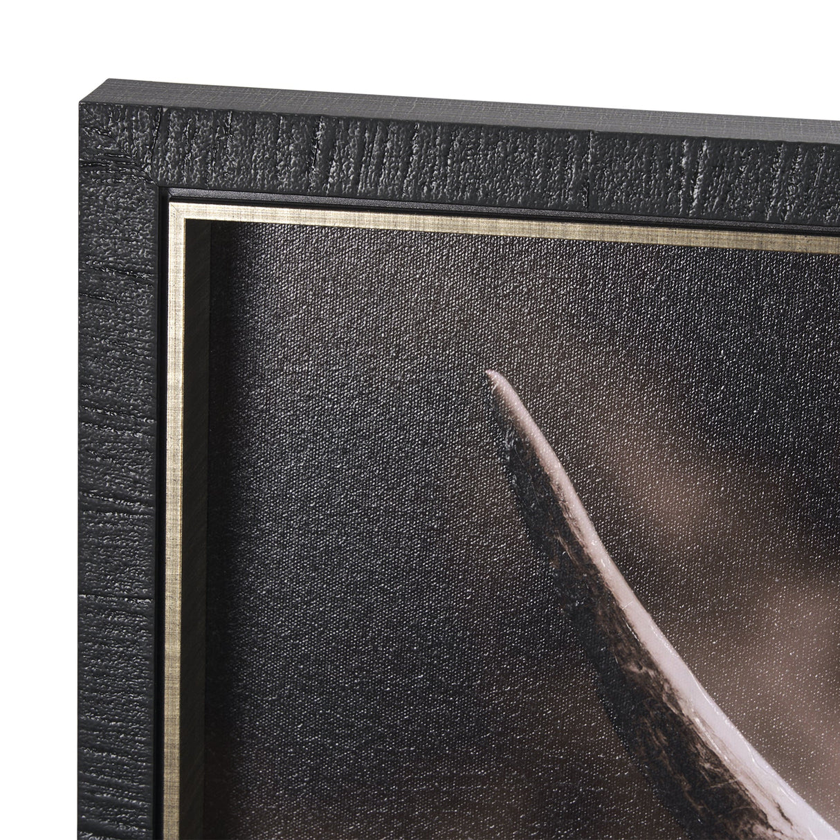 Highland Stare by Chad Mackay a Hand Embellished Textured Framed Photo Art Print by Mercana at Eve Furniture