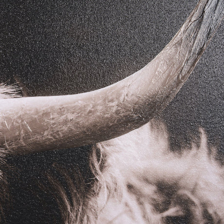 Highland Stare by Chad Mackay a Hand Embellished Textured Framed Photo Art Print by Mercana at Eve Furniture
