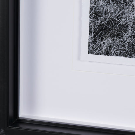 Highlands by Mercana Studio a Hand Embellished Textured Framed Photo Art Print Matted under Glass by Mercana at Eve Furniture