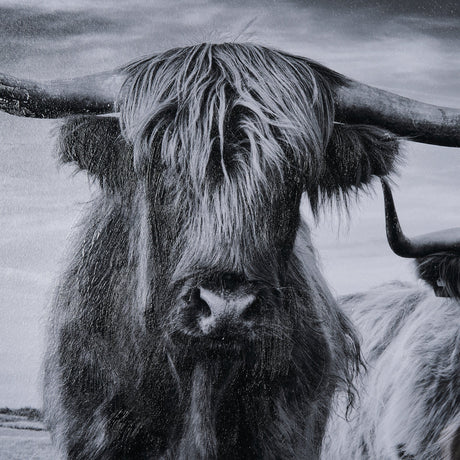 Highlands by Mercana Studio a Hand Embellished Textured Framed Photo Art Print Matted under Glass by Mercana at Eve Furniture