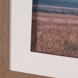 Historic Row IV by Nathan Larson a Framed Photo Art Print Matted under Glass by Mercana at Eve Furniture