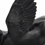 Hogbadi Set of 2 Black Flying Pigs by Mercana at Eve Furniture