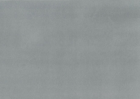 Holland Park Gray Velvet Accent Chair by Homelegance at Eve Furniture