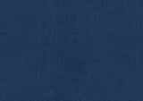 Holleman Blue 2-Piece Living Room Set by Homelegance at Eve Furniture