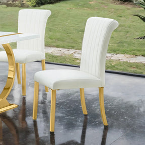 Holstebro Gold/White Side Chair Set of 2 by Furniture of America at Eve Furniture