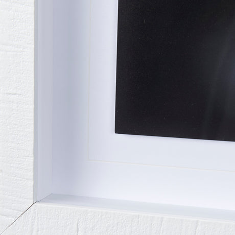 Honey Bee by Chad Mackay a Framed Photo Art Print Matted under Glass by Mercana at Eve Furniture