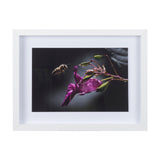 Honey Bee by Chad Mackay a Framed Photo Art Print Matted under Glass by Mercana at Eve Furniture