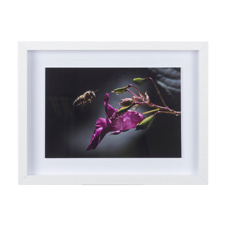 Honey Bee by Chad Mackay a Framed Photo Art Print Matted under Glass by Mercana at Eve Furniture