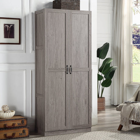 Hopkins Storage Closet 2.0 in Grey by Manhattan Comfort at Eve Furniture