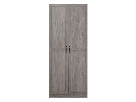 Hopkins Storage Closet 2.0 in Grey by Manhattan Comfort at Eve Furniture