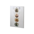 Horn & Tail Study I by Mercana Studio a Hand Embellished Textured Canvas by Mercana at Eve Furniture