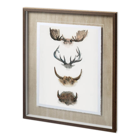 Horn & Tail Study II by Mercana Studio Hand Embelished Textured Framed Art Print Matted under Glass by Mercana at Eve Furniture