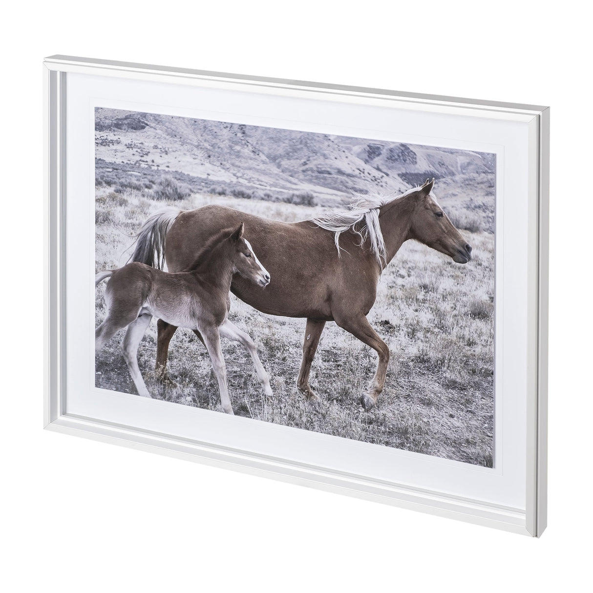 Horse 2 by Dunker a Framed Photo Art Print Matted under Glass by Mercana at Eve Furniture