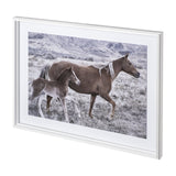 Horse 2 by Dunker a Framed Photo Art Print Matted under Glass by Mercana at Eve Furniture