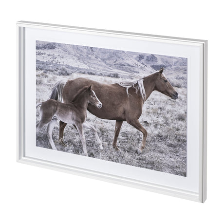Horse 2 by Dunker a Framed Photo Art Print Matted under Glass by Mercana at Eve Furniture