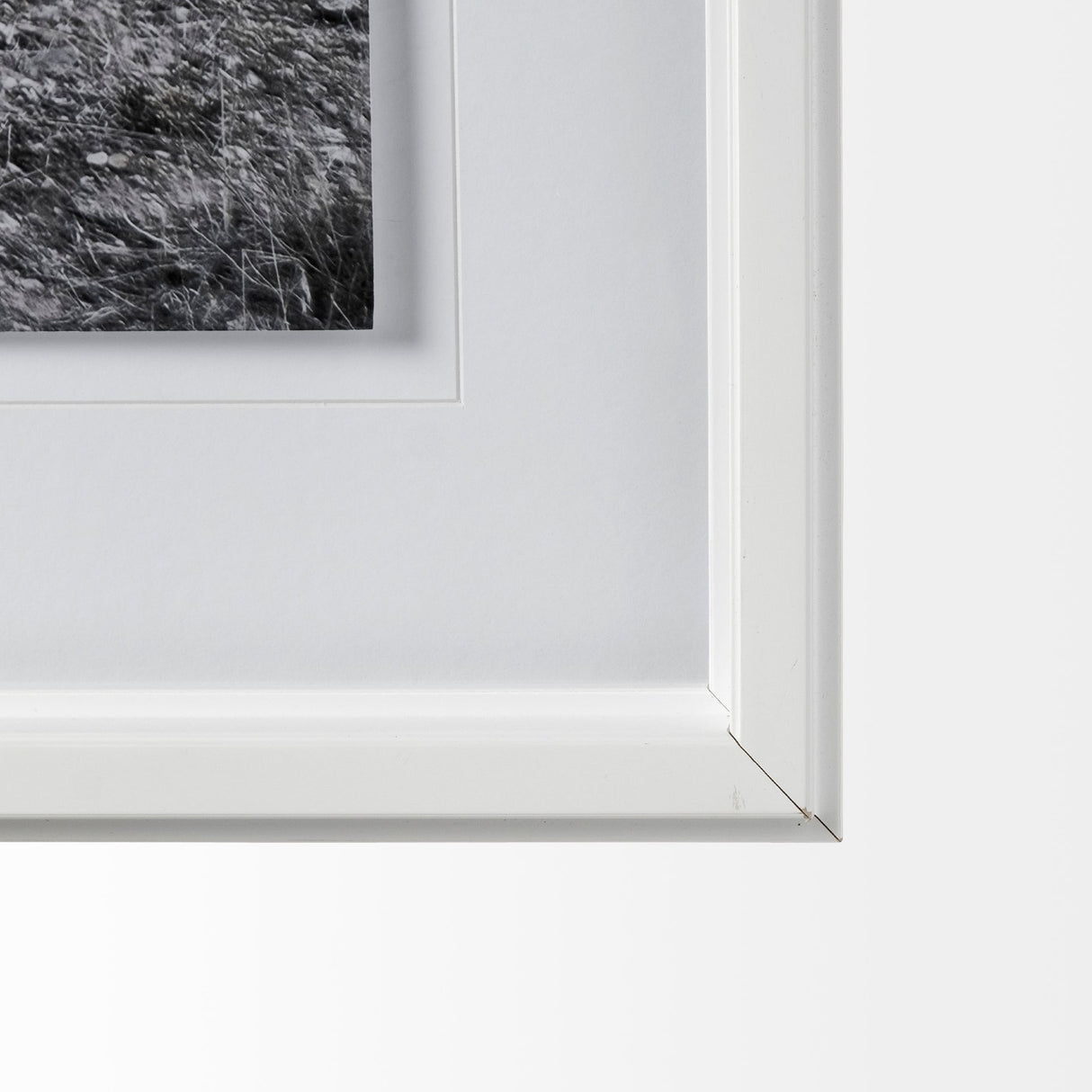 Horse 2 by Dunker a Framed Photo Art Print Matted under Glass by Mercana at Eve Furniture