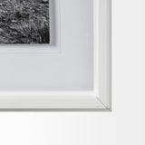 Horse 2 by Dunker a Framed Photo Art Print Matted under Glass by Mercana at Eve Furniture