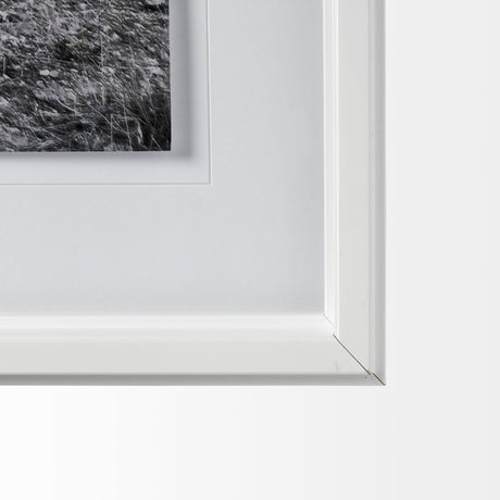 Horse 2 by Dunker a Framed Photo Art Print Matted under Glass by Mercana at Eve Furniture