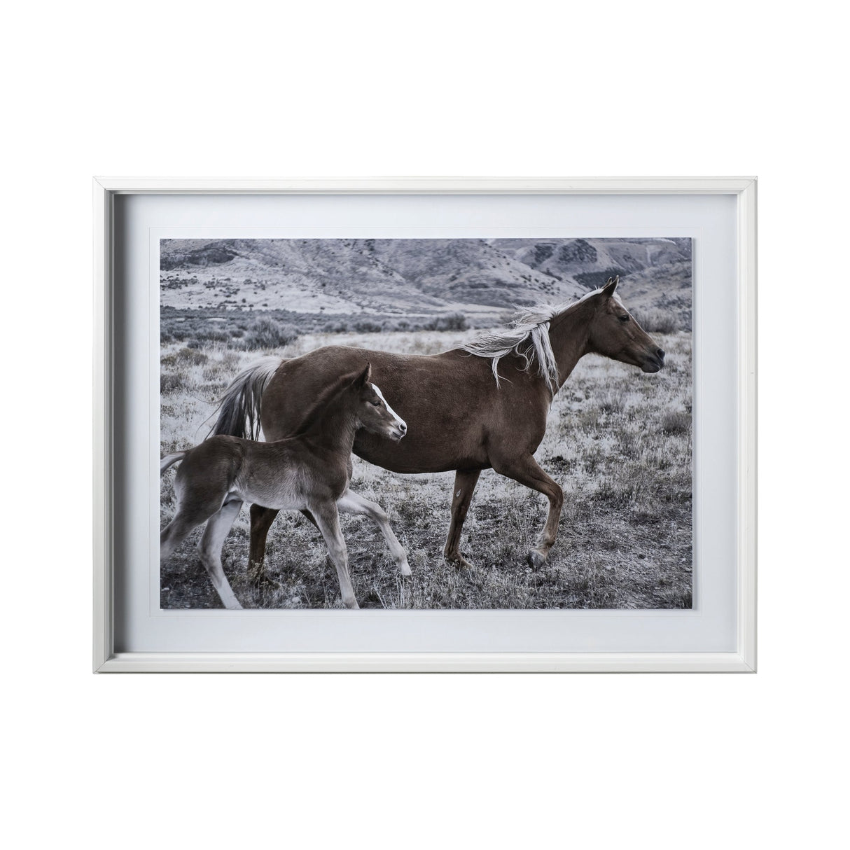 Horse 2 by Dunker a Framed Photo Art Print Matted under Glass by Mercana at Eve Furniture