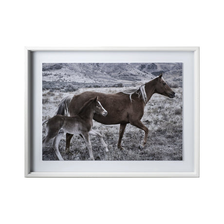 Horse 2 by Dunker a Framed Photo Art Print Matted under Glass by Mercana at Eve Furniture