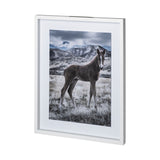 Horse 3 by Dunker a Framed Photo Art Print Matted under Glass by Mercana at Eve Furniture