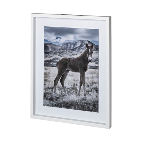 Horse 3 by Dunker a Framed Photo Art Print Matted under Glass by Mercana at Eve Furniture
