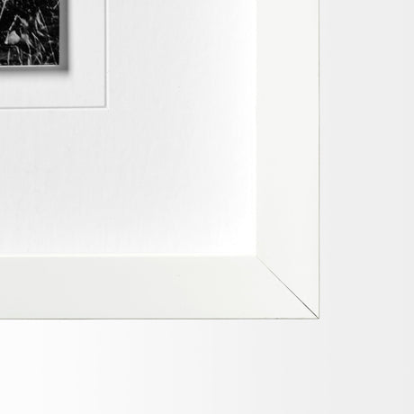 Horse 3 by Dunker a Framed Photo Art Print Matted under Glass by Mercana at Eve Furniture