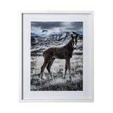 Horse 3 by Dunker a Framed Photo Art Print Matted under Glass by Mercana at Eve Furniture