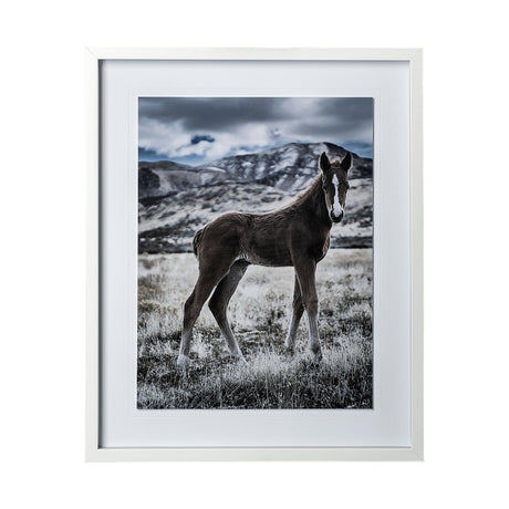 Horse 3 by Dunker a Framed Photo Art Print Matted under Glass by Mercana at Eve Furniture
