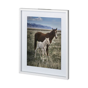 Horse 6 by Dunker a Framed Photo Art Print Matted under Glass by Mercana at Eve Furniture