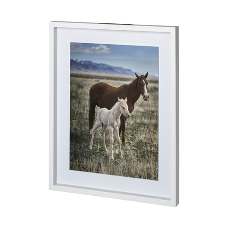 Horse 6 by Dunker a Framed Photo Art Print Matted under Glass by Mercana at Eve Furniture