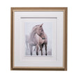 Horse 9 by Chris Dunker a Framed Photo Art Print Matted under Glass by Mercana at Eve Furniture